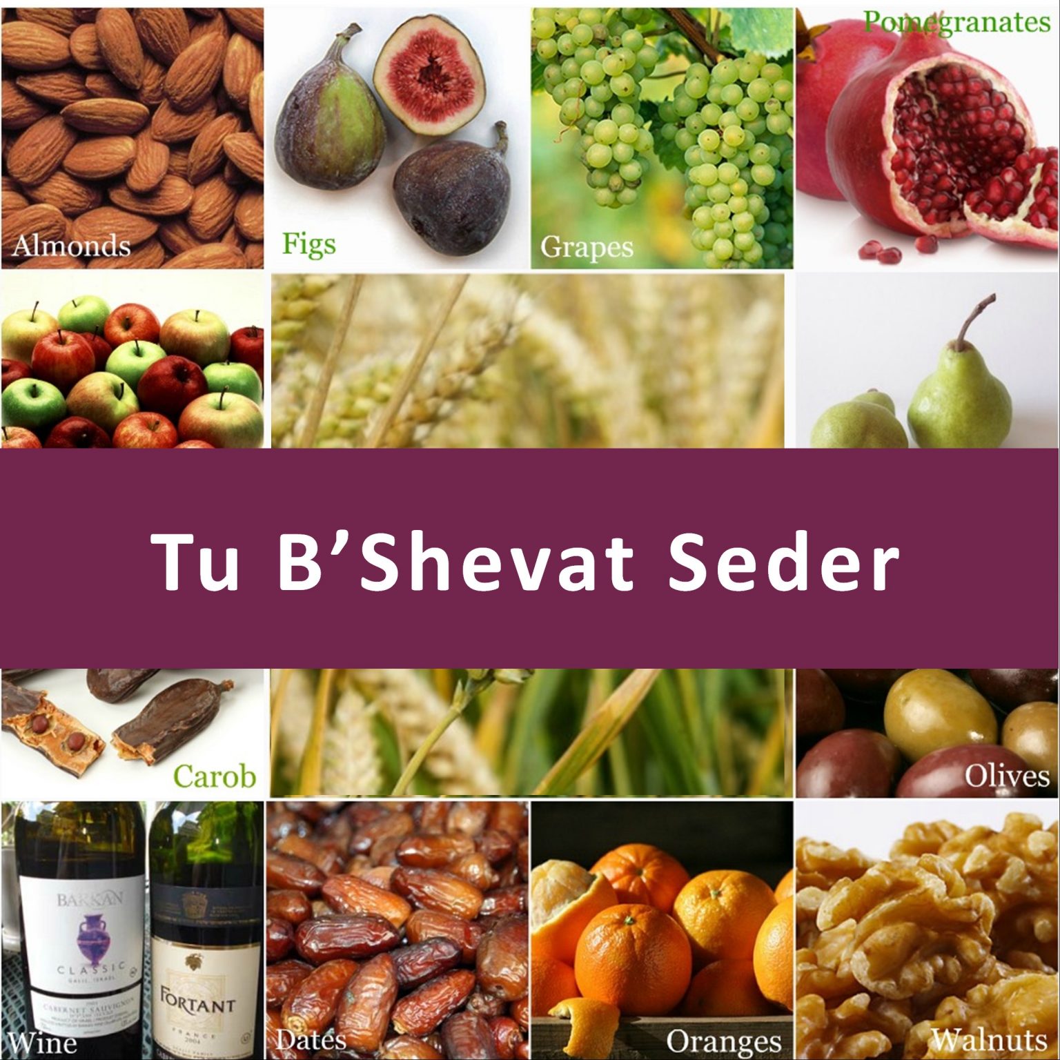 Community Tu B’Shevat Seder Temple Israel of Scranton Egalitarian